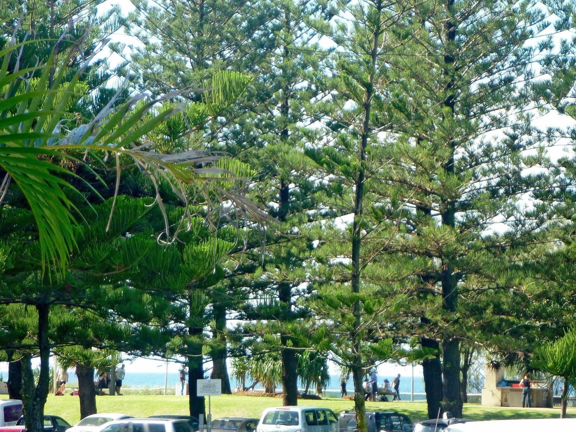 Main Tourist Park Holiday park Main Beach